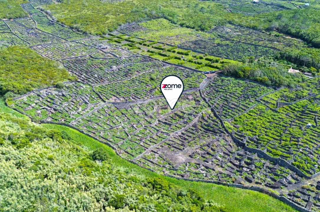 Terreno para Venda em Madalena Foto 22