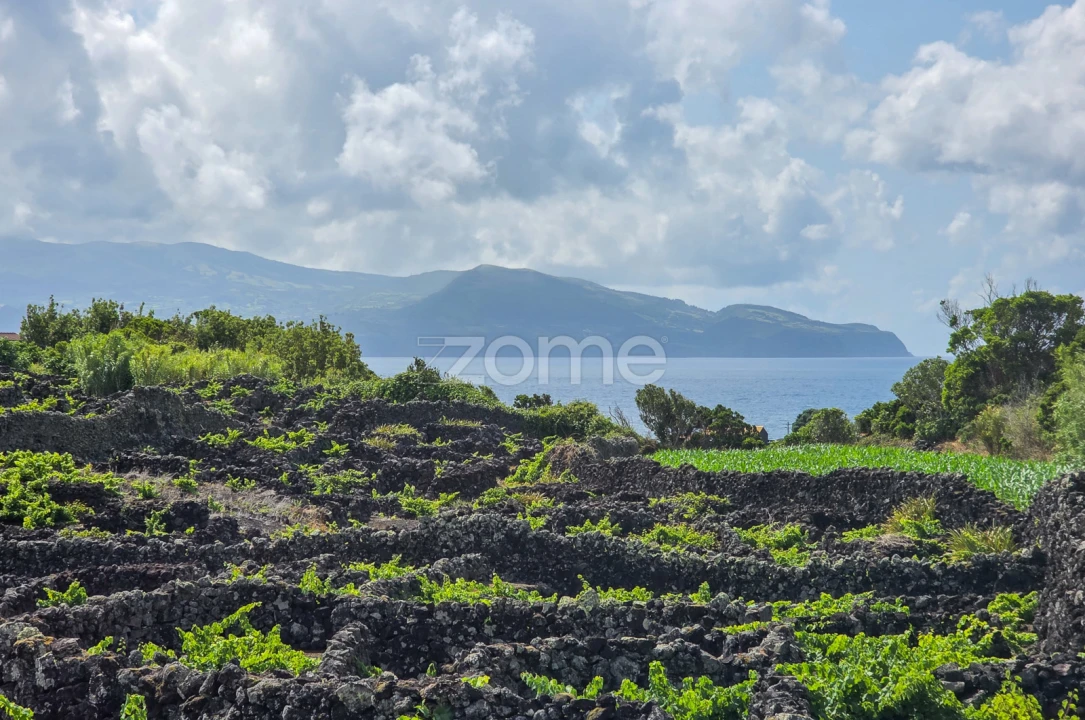 Terreno para Venda em Madalena Foto 17