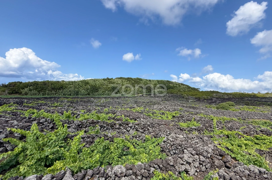 Terreno para Venda em Madalena Foto 6