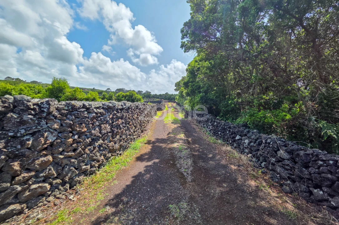 Terreno para Venda em Madalena Foto 25