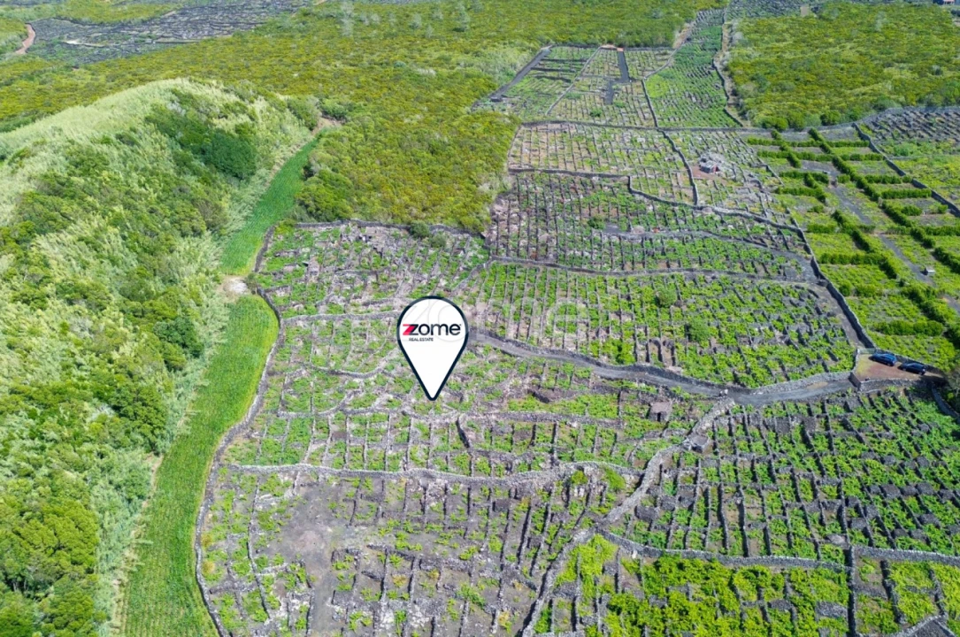 Terreno para Venda em Madalena Foto 26