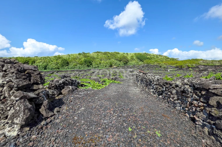 Terreno para Venda em Madalena Foto 11