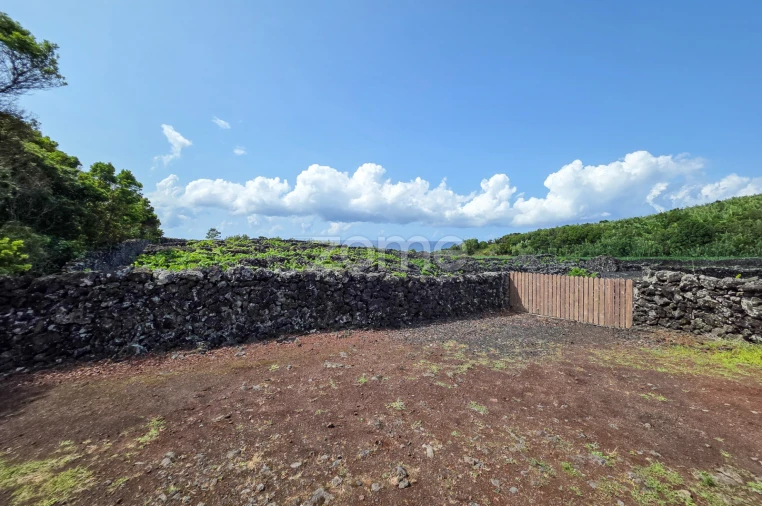 Terreno para Venda em Madalena Foto 24