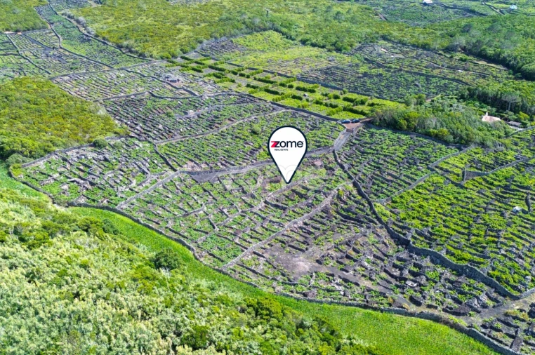 Terreno para Venda em Madalena Foto 22