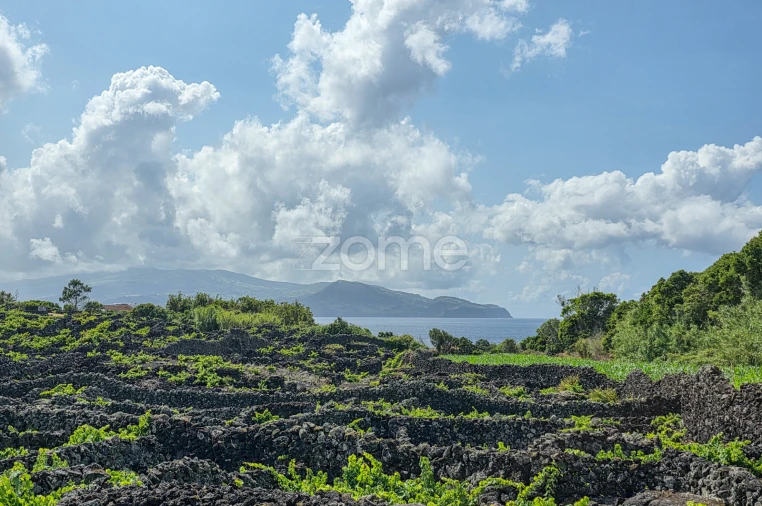 Terreno para Venda em Madalena Foto 16