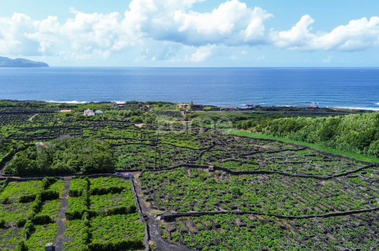 Terreno para Venda em Madalena Foto 21