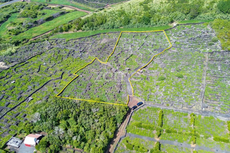 Terreno para Venda em Madalena Foto 20