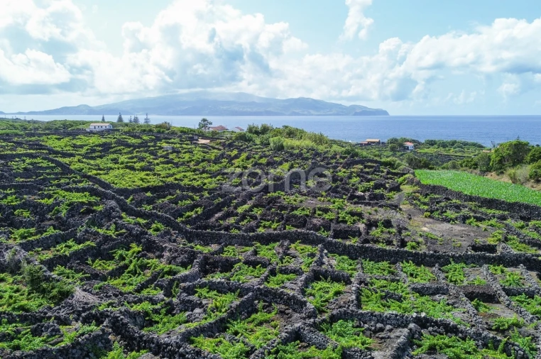 Terreno para Venda em Madalena Foto 18