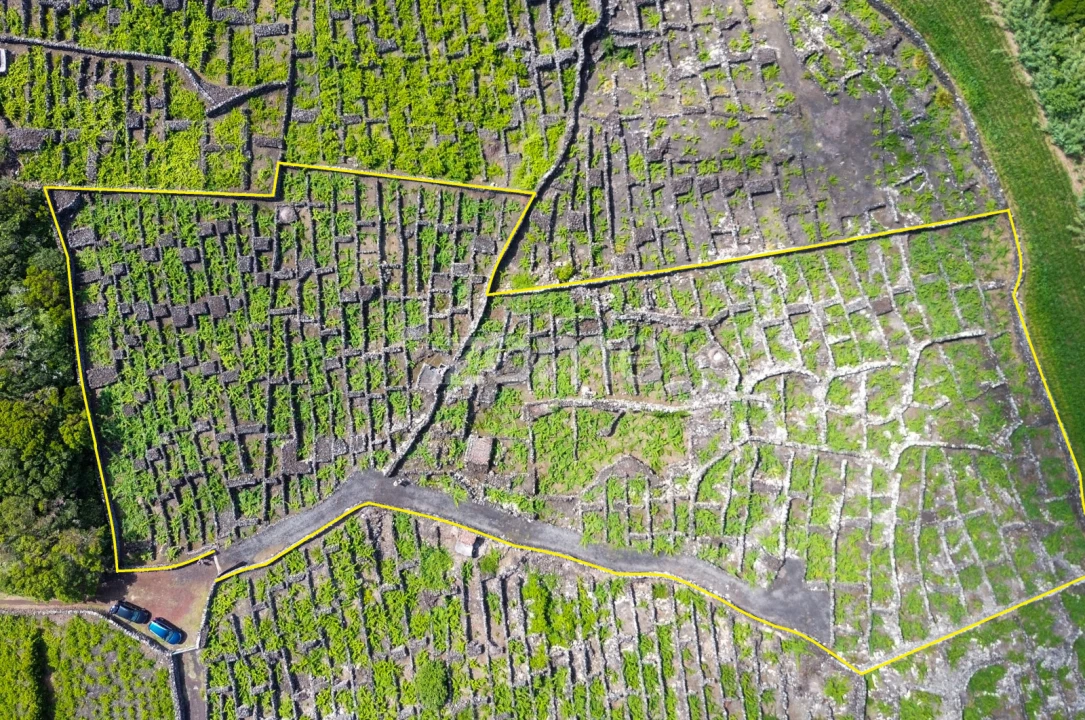 Terreno para Venda em Madalena Foto 2