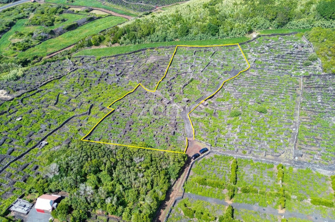 Terreno para Venda em Madalena Foto 20