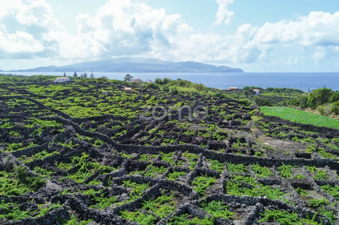 Terreno para Venda em Madalena Foto 18