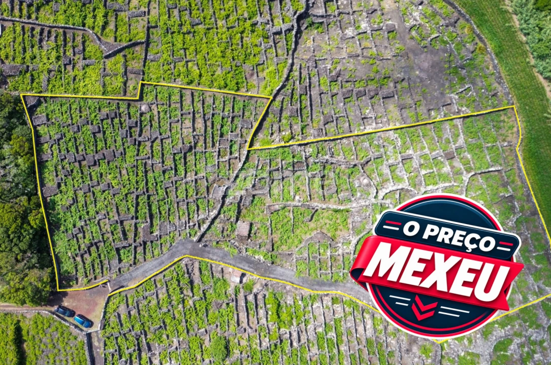 Terreno para Venda em Madalena Foto 2