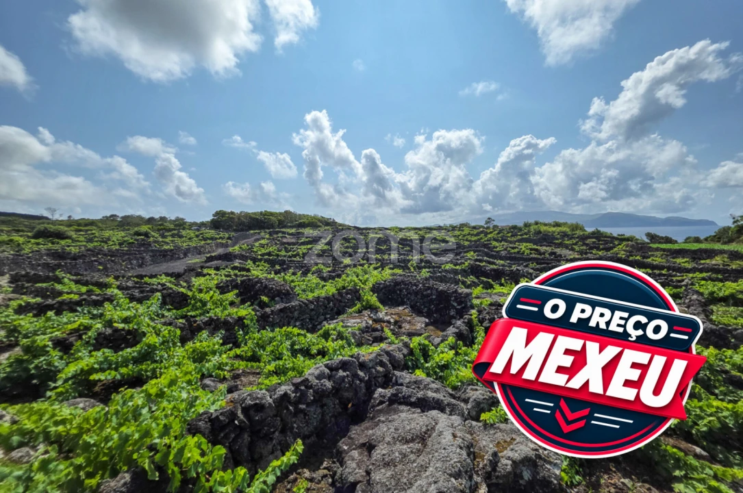 Terreno para Venda em Madalena Foto 1