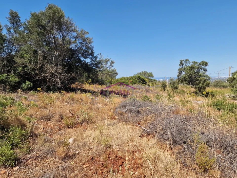 Terreno Agricola ou Rústico para Venda em Santa Barbara de Nexe Foto 6