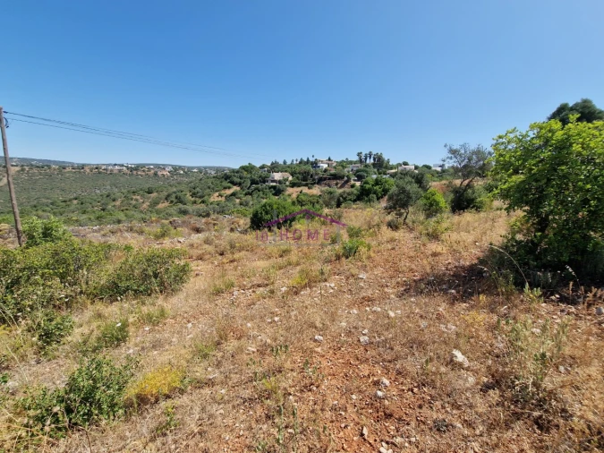 Terreno Agricola ou Rústico para Venda em Santa Barbara de Nexe Foto 5