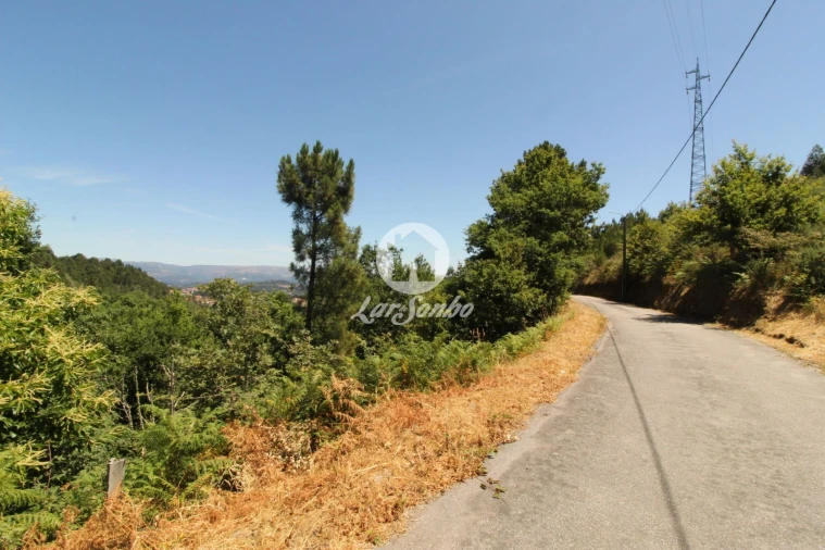 Terreno Agricola ou Rústico para Venda em Caçarilhe e Infesta Foto 3