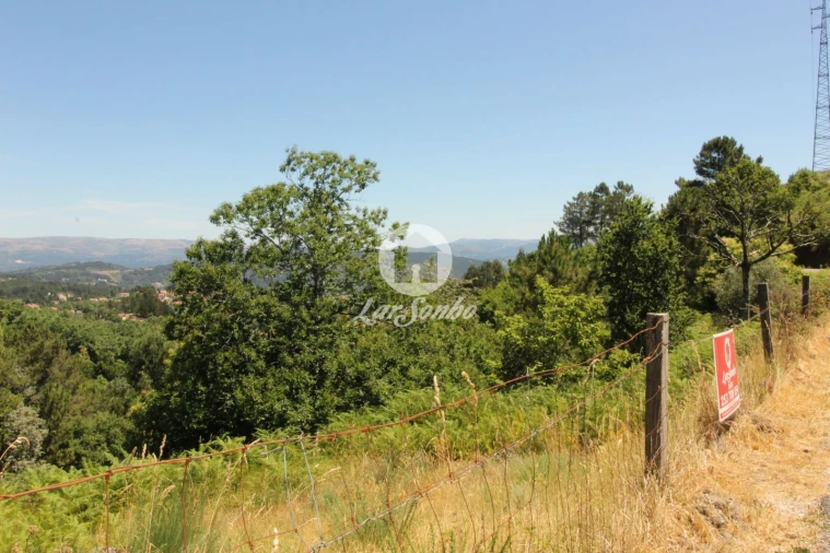 Terreno Agricola ou Rústico para Venda em Caçarilhe e Infesta Foto 12