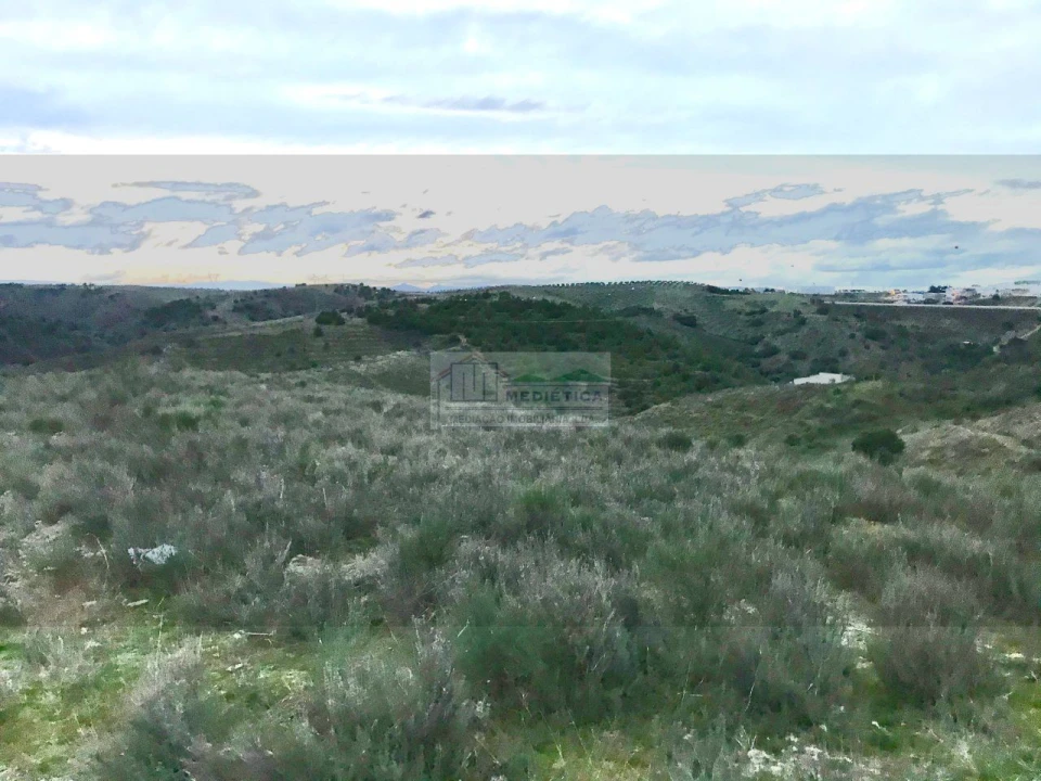 Quinta para Venda em Alfandega da Fe Foto 3