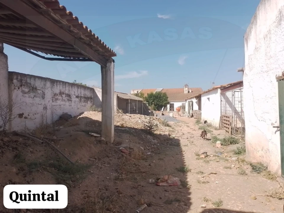 Quinta T5 para Venda em São João de Negrilhos Foto 39