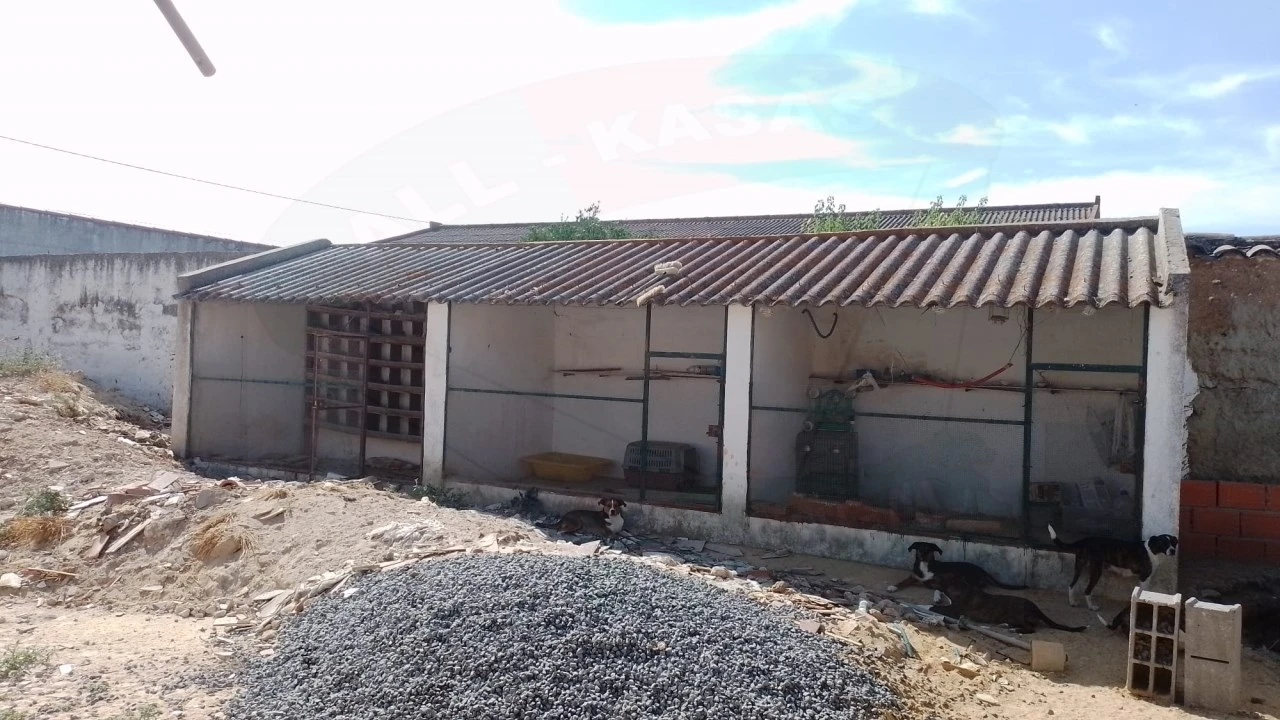 Quinta T5 para Venda em São João de Negrilhos Foto 43