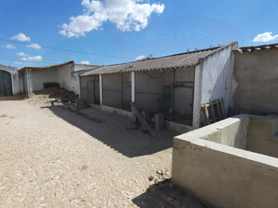 Quinta T5 para Venda em São João de Negrilhos Foto 34