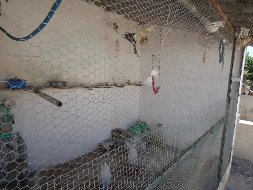 Quinta T5 para Venda em São João de Negrilhos Foto 36