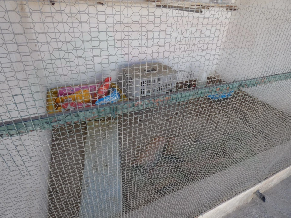 Quinta T5 para Venda em São João de Negrilhos Foto 45