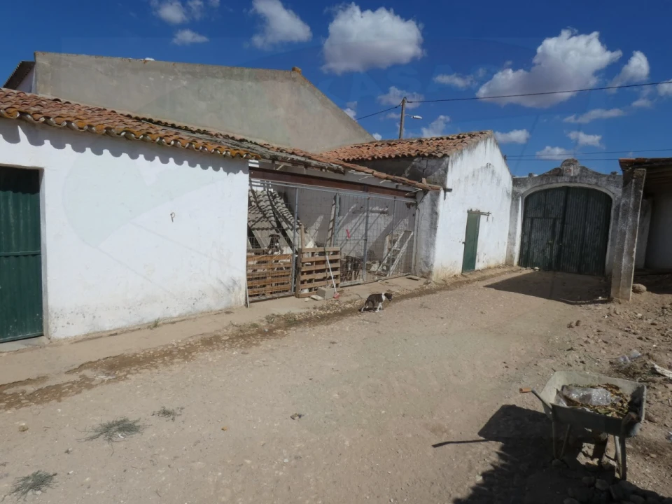 Quinta T5 para Venda em São João de Negrilhos Foto 46