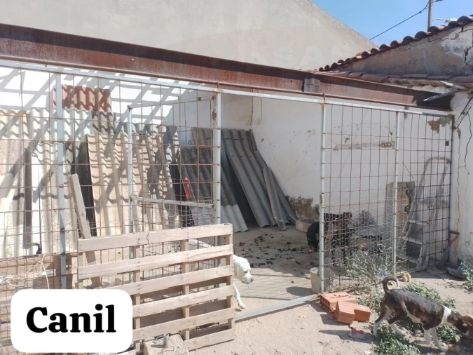 Quinta T5 para Venda em São João de Negrilhos Foto 40