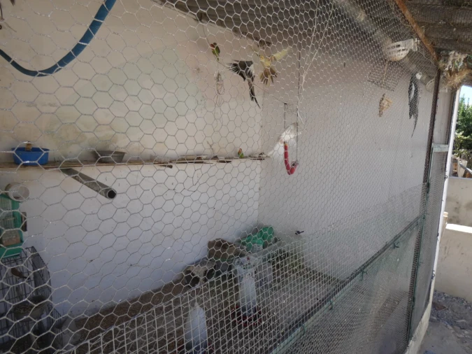 Quinta T5 para Venda em São João de Negrilhos Foto 36