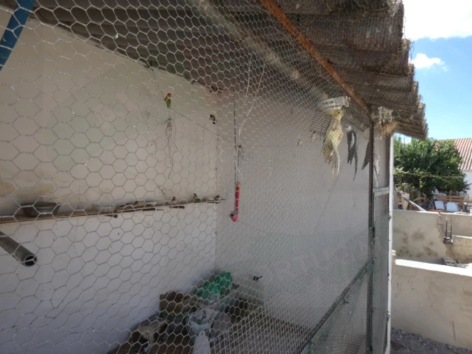 Quinta T5 para Venda em São João de Negrilhos Foto 44