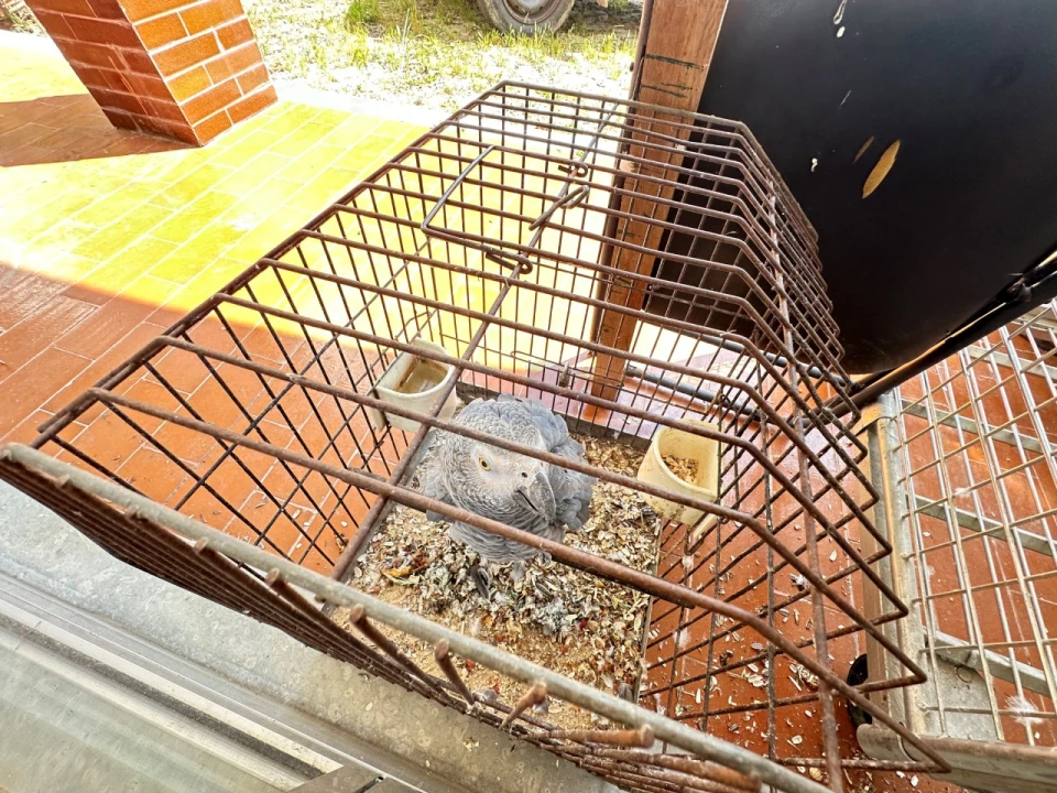 Moradia T4 para Venda em Alcobaça e Vestiaria Foto 52