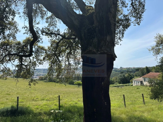 Moradia T4 para Venda em Alcobaça e Vestiaria Foto 75