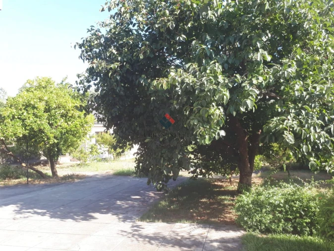 Moradia T6 para Venda em Melres e Medas Foto 6