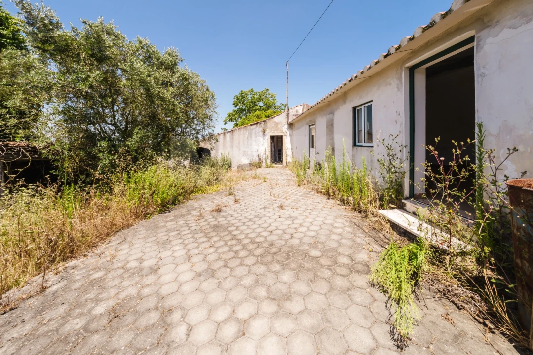Terreno para Venda em Nossa Senhora do Pópulo, Coto e São Gregório Foto 11