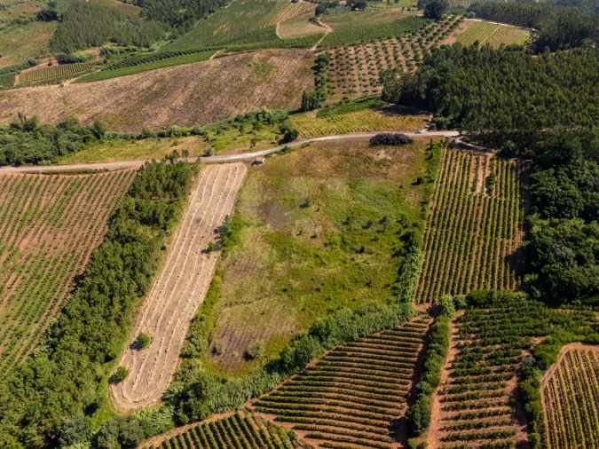 Terreno para Venda em A dos Francos Foto 10