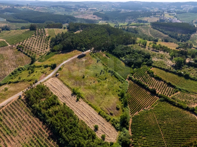 Terreno para Venda em A dos Francos Foto 12