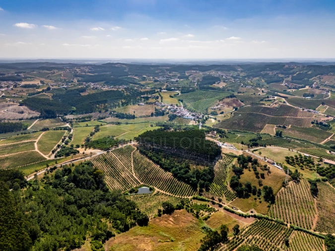 Terreno para Venda em A dos Francos Foto 8