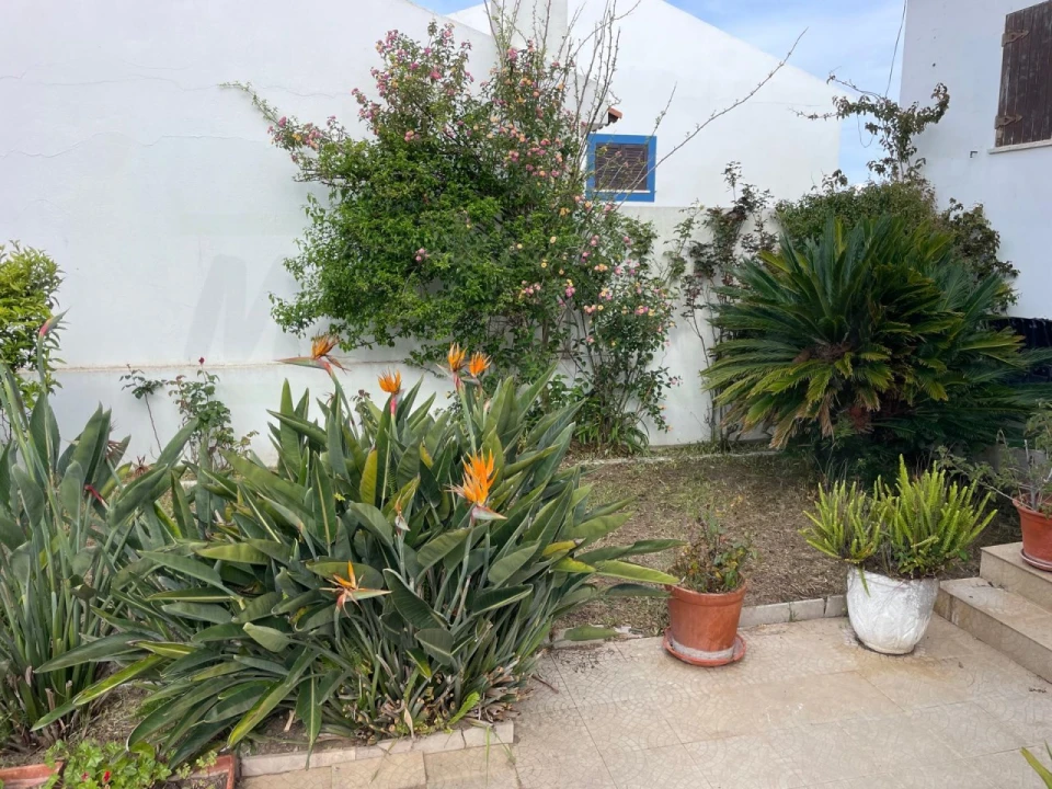 Moradia T4 para Venda em Porto Covo Foto 18