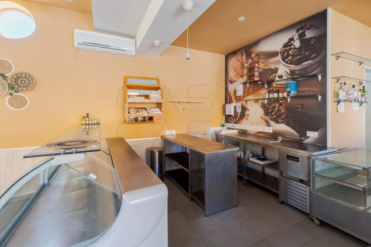 Negócio para Venda em Azeitão (São Lourenço e São Simão) Foto 11