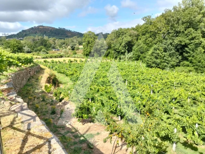 Quinta T4 para Venda em Longos Vales Foto 32