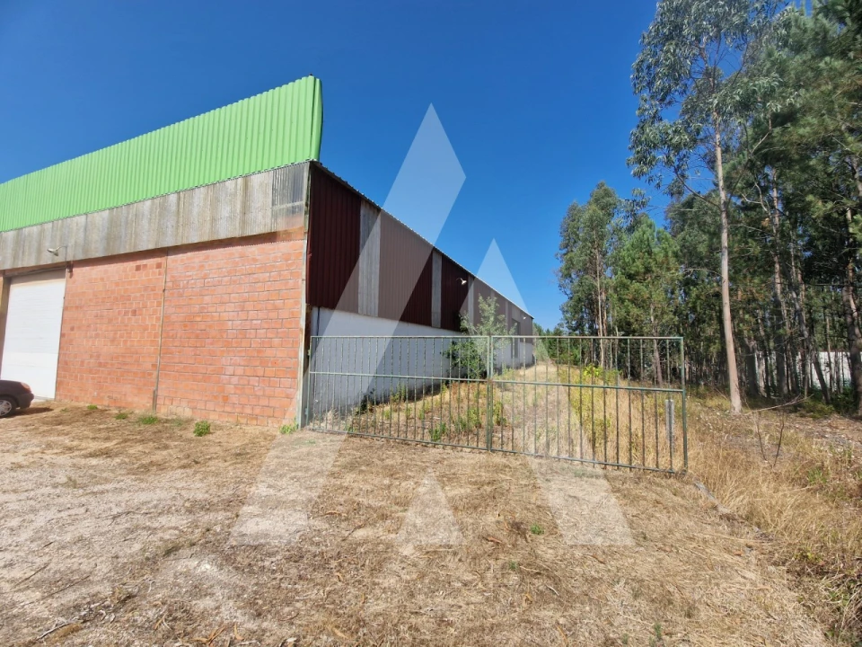 Armazém para Venda em Carnide Foto 1