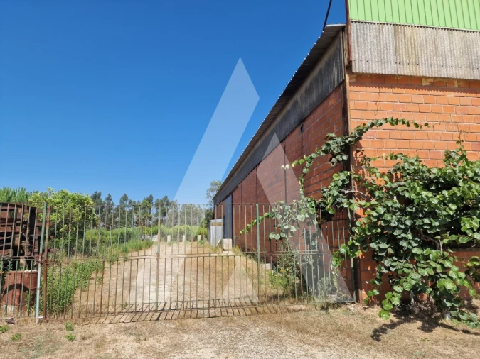 Armazém para Venda em Carnide Foto 9