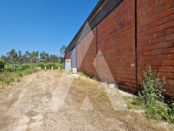 Armazém para Venda em Carnide Foto 10