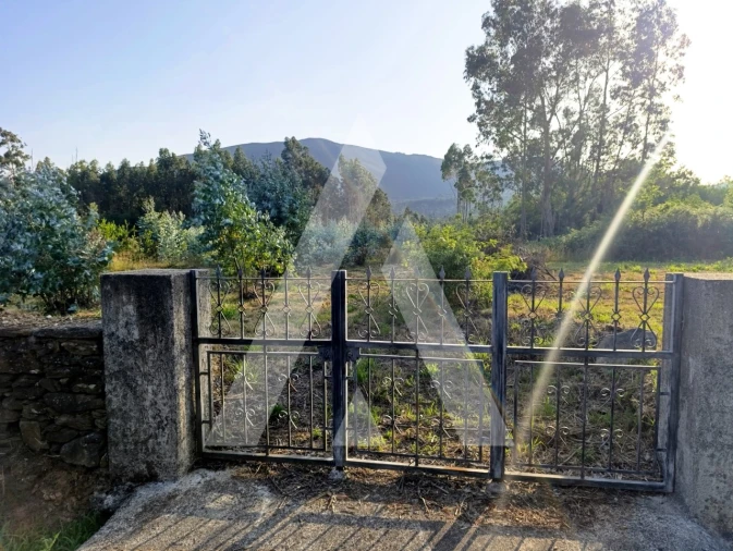 Terreno para Venda em Nogueira, Meixedo e Vilar de Murteda Foto 1