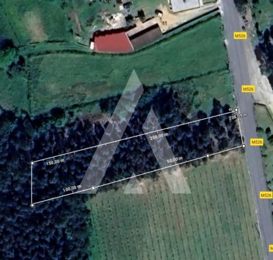 Terreno para Venda em Nogueira, Meixedo e Vilar de Murteda Foto 5