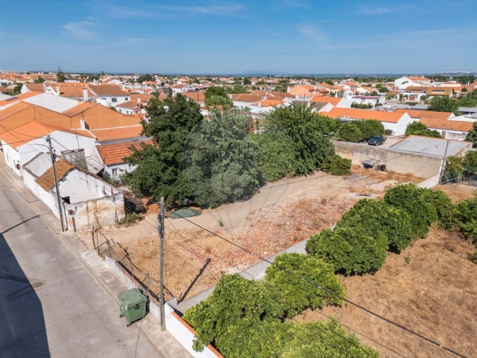 Terreno para Venda em Fazendas de Almeirim Foto 1
