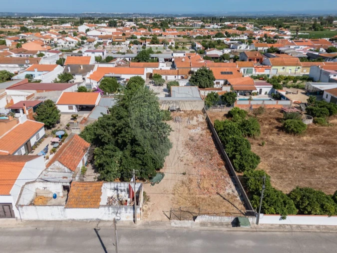Terreno para Venda em Fazendas de Almeirim Foto 9