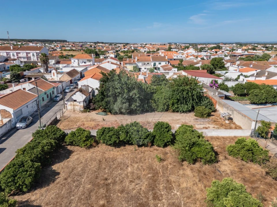 Terreno para Venda em Fazendas de Almeirim Foto 3