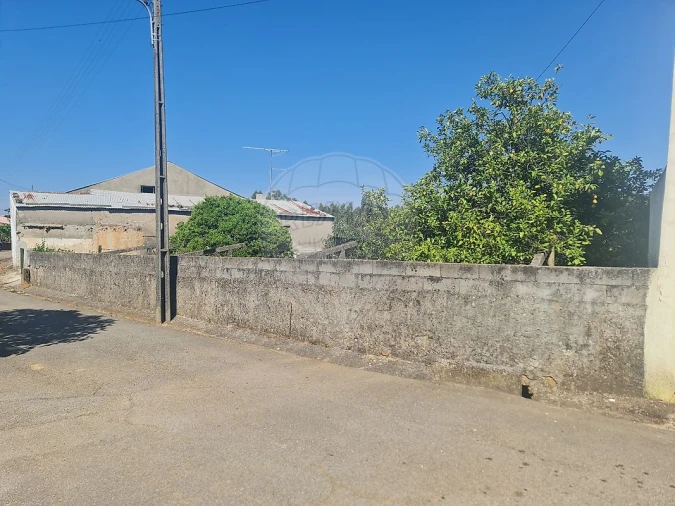 Moradia T4 para Venda em Envendos Foto 35